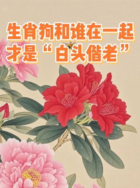 狗前后的生肖属相（狗的前一生肖和下一属相是什么）