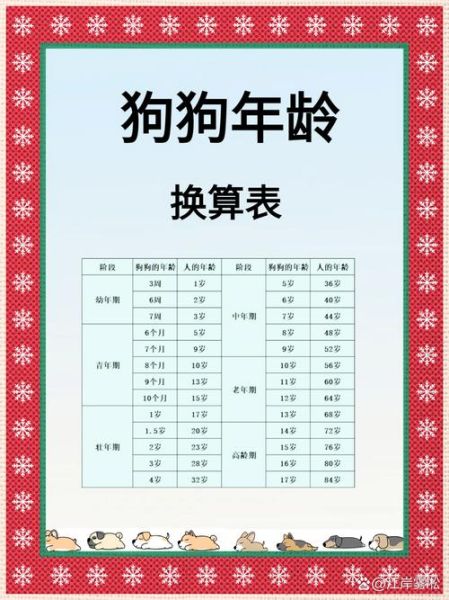 生肖狗的属相年龄（生肖狗2025到底几岁？一张表全看懂！）