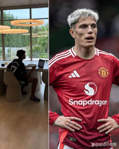 迷你罗生肖属相（迷你罗属啥生肖？新手一看就懂）