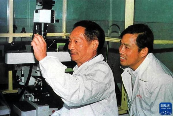 袁隆平生肖属相（袁隆平生肖属猪吗？真相在这里！）