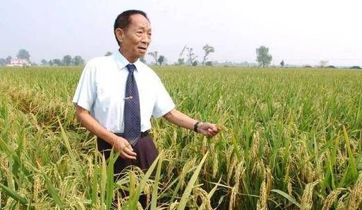 袁隆平生肖属相（袁隆平生肖属猪吗？真相在这里！）