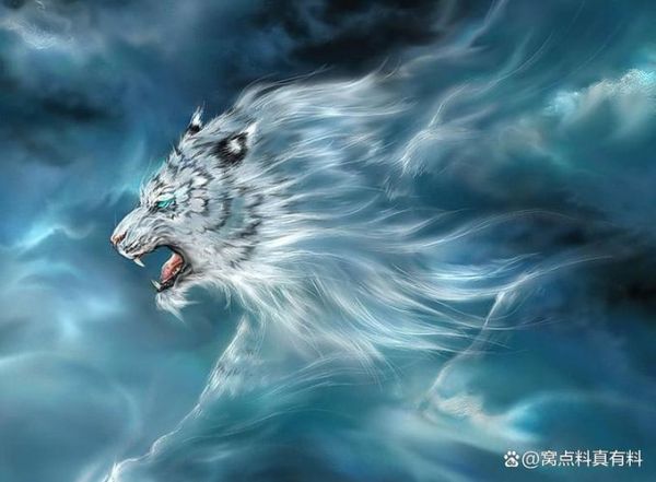 白虎座什么生肖属相（白虎代表哪个生肖）