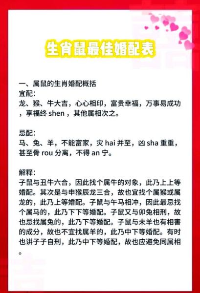 鼠男生肖最佳配对属相(鼠男和什么属相最配对)