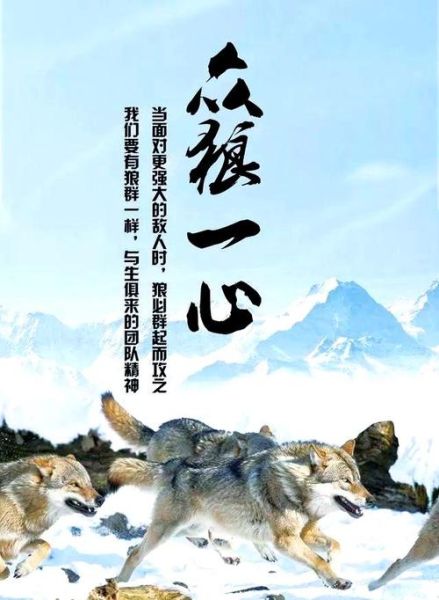 狼性的生肖男女属相（狼性最强的生肖属相是哪个）