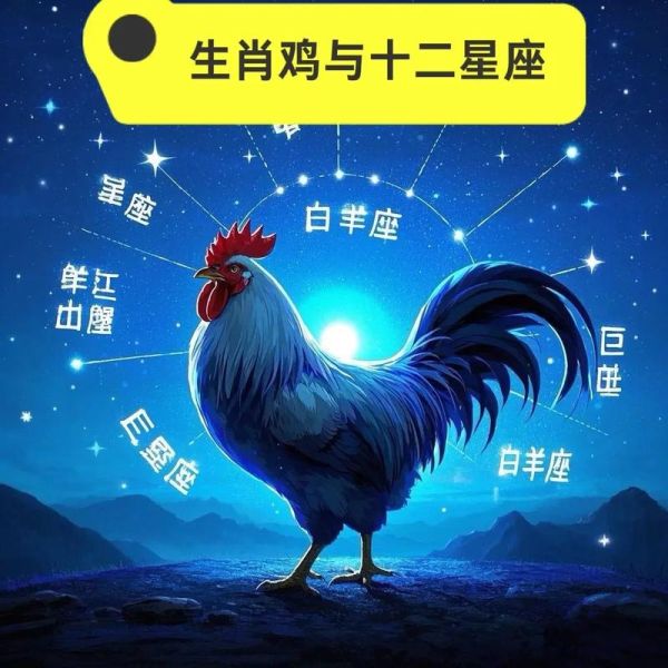 生肖鸡属什么属相（生肖鸡属于什么属相？小白避坑指南）