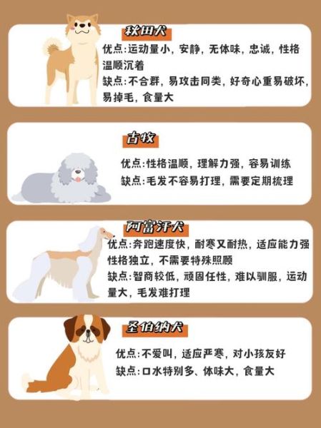 生肖狗的属相特点（属狗的人性格缺点和弱点有哪些？）