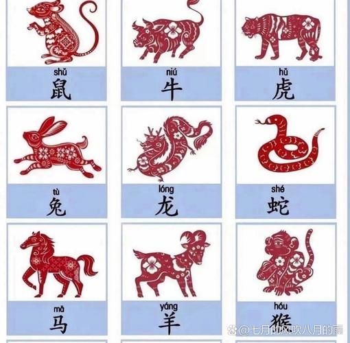 329年属什么生肖属相（329年属什么生肖属相🐭）