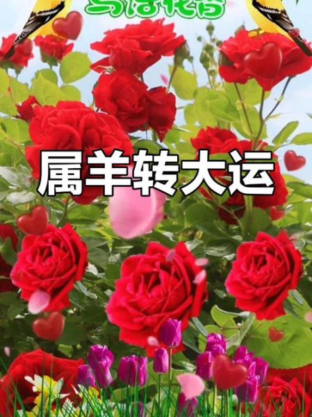 生肖羊的桃花属相（属羊桃花最旺的属相是谁？）