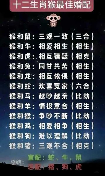 相合的生肖属相（相合的生肖属相查询配对表）