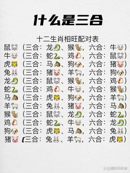 适合猪生肖的属相（猪年找贵人？猪与虎六合速配指南）