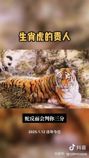 老虎依赖哪个生肖属相（老虎一生最离不开哪些属相贵人）