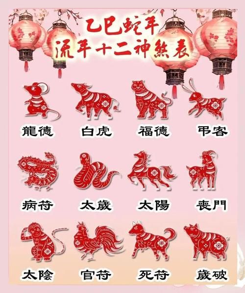 生肖属相榜（2025生肖运势排行完整版💥）