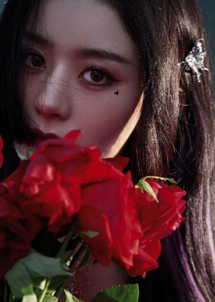 赵丽颖生肖属相兔（赵丽颖属兔吗她到底属啥？）