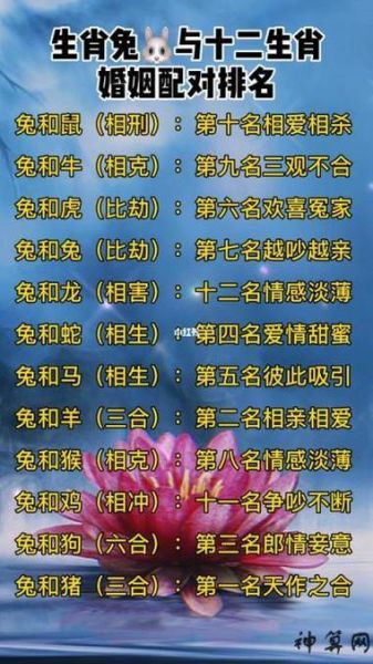 生肖兔与生肖马属相合吗（生肖兔与马合不合婚？）