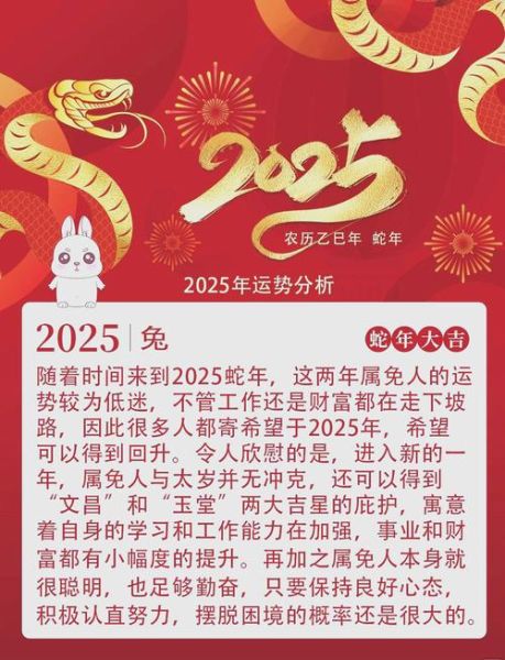 生肖属相兔(生肖兔2025全年运程详解)