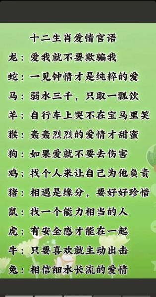 生肖属相特点解析（生肖属相特点怎么看懂？）