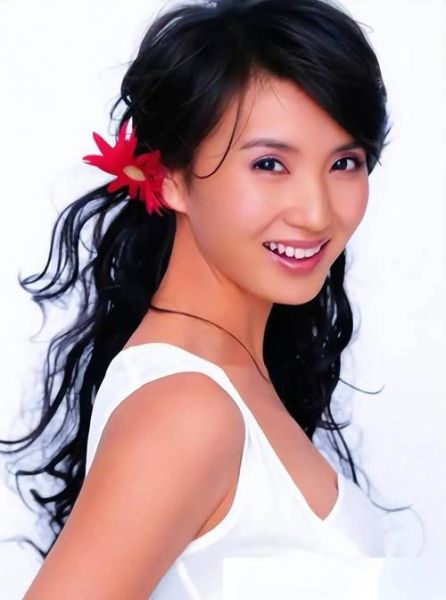 陈好星座生肖属什么属相（陈好星座生肖属什么？新手一看就懂🤓）