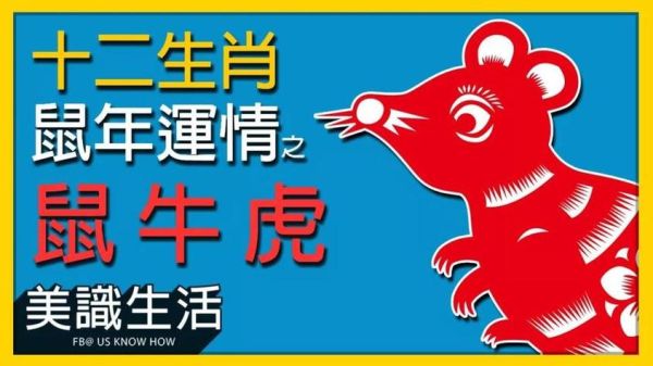 虎和牛的生肖属相合不合（虎和牛的生肖合不合婚姻呢）