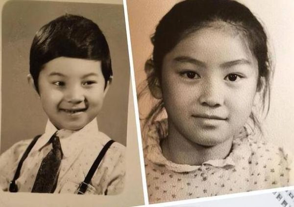 胡可生肖属相（胡可属相是什么新手速查）