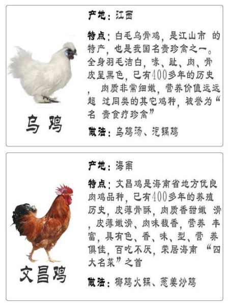 生肖鸡的属相（生肖鸡属相性格特点解析）