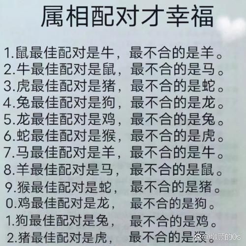 生肖合婚最佳属相搭配（生肖合婚最佳属相搭配有哪些🐭🐮🐯🐰🐲🐍🐴🐏🐵🐔🐶🐷？）