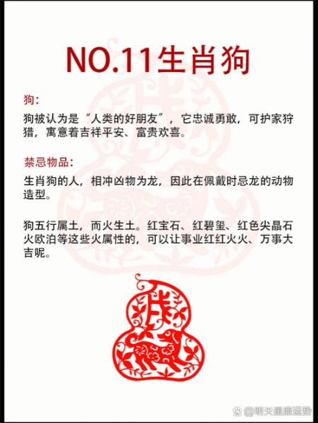 生肖属相忌讳（生肖属相有哪些禁忌和运势）