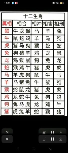 查看十二生肖属相配对表（十二生肖属相配对表最全版）