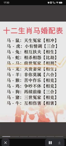 查看十二生肖属相配对表（十二生肖属相配对表最全版）