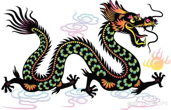 龙生肖后面是什么属相