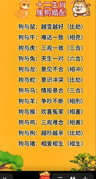 生肖狗找属相合不合（生肖狗找哪些属相最合拍？）