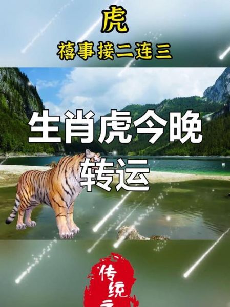 善于救人的生肖属相（最容易见义勇为的生肖属虎）