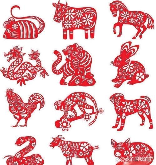 属毛的生肖属相（属毛的生肖到底是哪个）