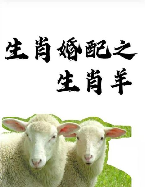 属毛的生肖属相（属毛的生肖到底是哪个）