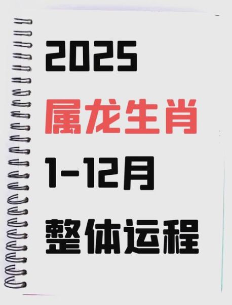 生肖属相运势讲解（2025属龙人全年运势详解）