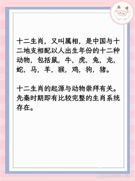 教属相什么生肖（教什么生肖的属相怎么查🔍）