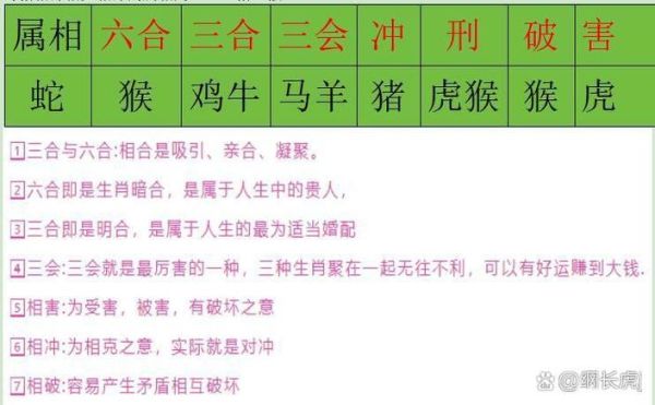蛇生肖犯冲的属相（蛇生肖犯冲的属相到底有哪些？）