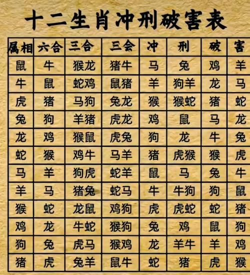 生肖马不合属相（生肖马不合属相破解指南🔍）