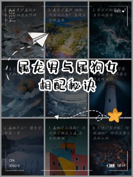 生肖龙和什么属相最配男（生肖龙男和什么属相最配）