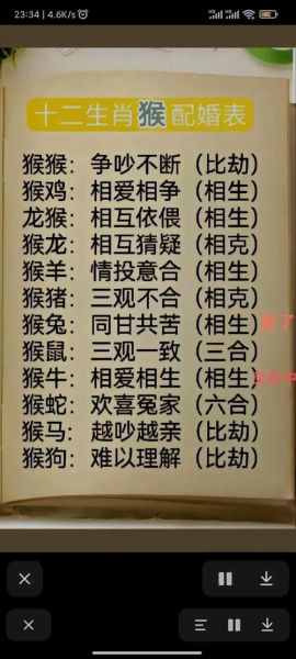 生肖属相候的婚配属相（属猴的最佳婚配属相指南）