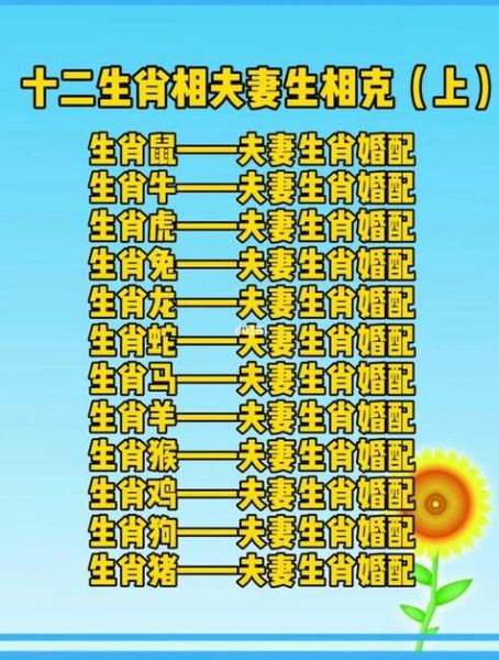 鼠虎最佳配偶生肖属相（鼠虎结婚最佳属相配对指南）