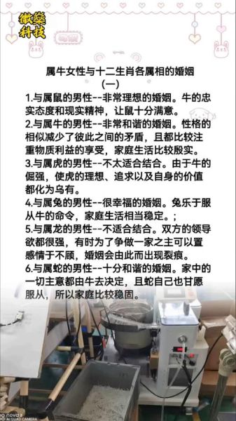 生肖牛与父母属相（生肖牛与父母属相冲不冲 新手指南 🐮👨‍👩‍👧）