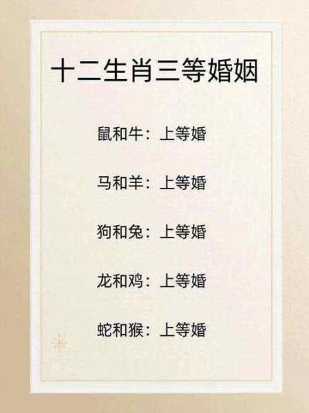 生肖马生肖鸡属相合（生肖马和鸡合不合婚）