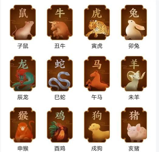 近字最佳生肖属相（近字最佳生肖属相是什么🐭）