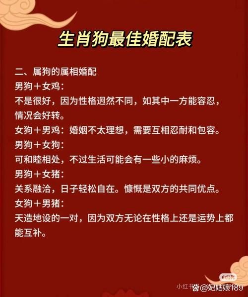 生肖狗属相婚配表（属狗最佳婚配属相大揭秘💑）