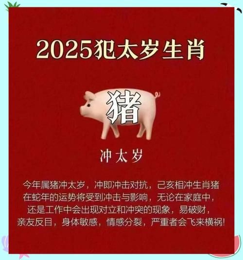 属相猪生肖运势如何（属猪2025年运势每月运程详解）