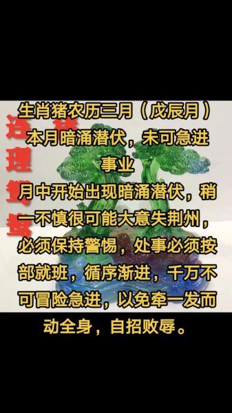 生肖猪属相排名（生肖猪属相排名第几）