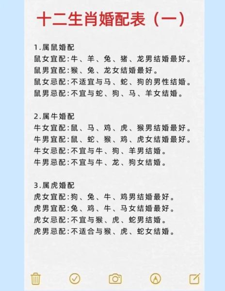 转运的三大生肖属相（2024生肖转运指南：龙蛇鸡逆袭攻略）