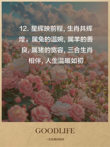 生肖感悟属相文案图片（属相文案图片怎么做？新手一看就会的教程）