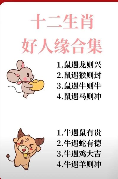 生肖属相 搞笑（十二生肖属相搞笑段子大全）