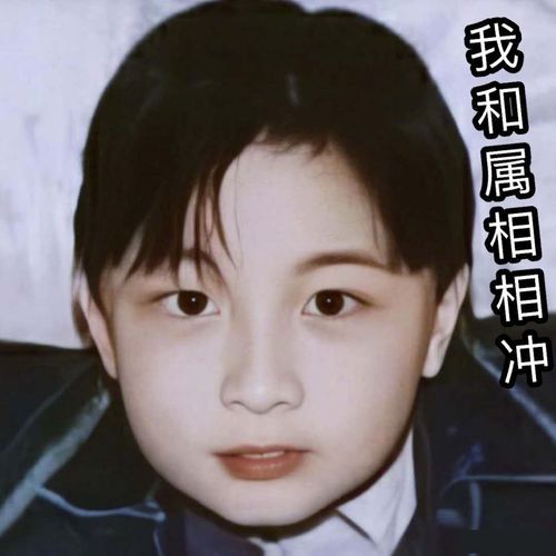 薛之谦生肖属相